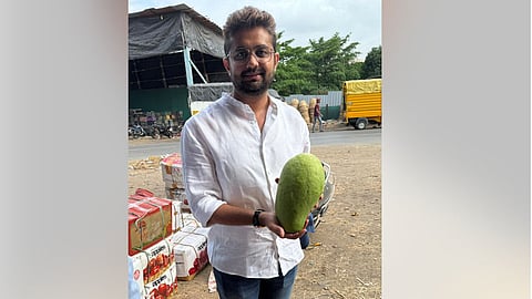 Gultekdi Market Yard 2.5 kg Mango