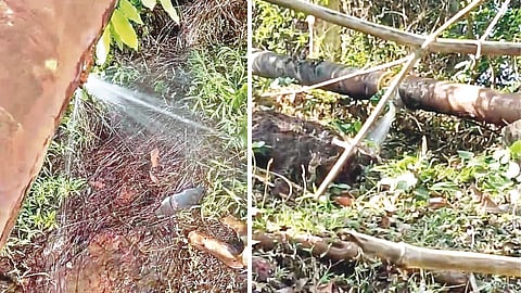 Devgad water pipeline burst