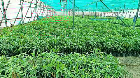 Chhatrapati Sambhajinagar News