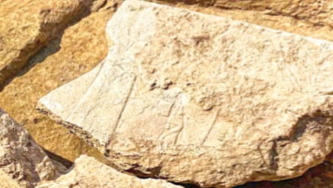 rare-assyrian-king-inscription-surrounded-by-deities-found-in-iraq