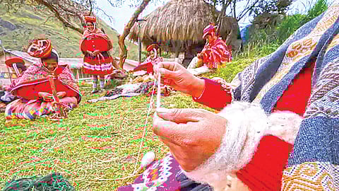 human-migration-to-south-america-14500-years-ago