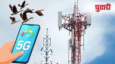 5G Radiation