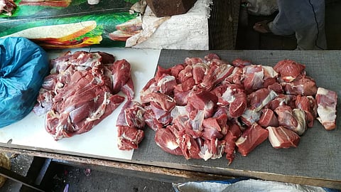 Nashik Municipal Corporation Action