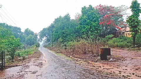 Sangli Heavy Rain News