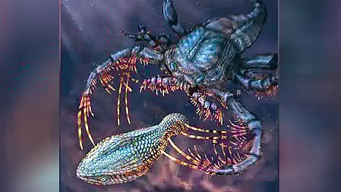 origin-of-sensitive-teeth-linked-to-fish-body-armor