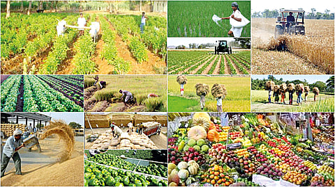 major-step-for-farmers-development