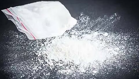 cocaine seizure