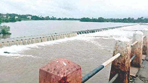 Sangli heavy rainfall