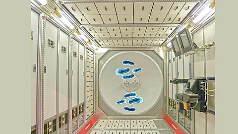 nasa-discovers-26-new-bacteria-in-cleanrooms