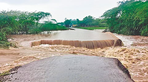 Satara Rain News |