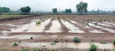 Unseasonal Rain Update: अवकाळीने खरीप हंगामाचे नियोजन कोलमडले