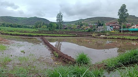 farming work stopped Heavy Rainfall