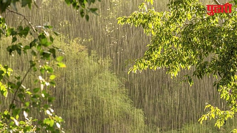 Maharashtra Rain