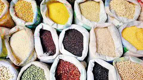 india has year long stock of wheat andrice