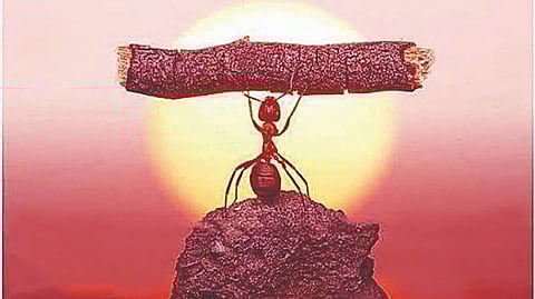 Whatever the course, choose the best college