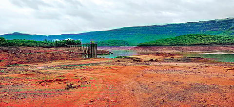 Koyna Dam |