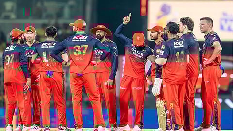 ipl 2025 final royal challengers bengaluru phil salt