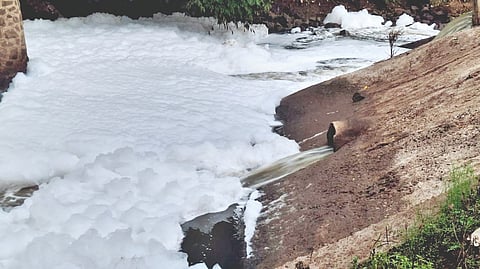 Krishna River Pollution