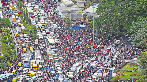 Rcb Victory Parade Stampede