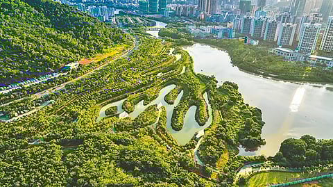 need-for-green-infrastructure-in-cities