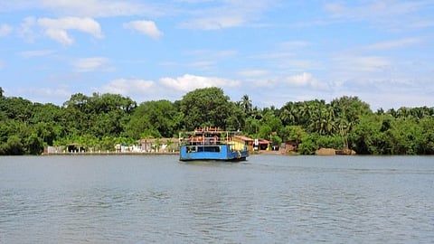 mandovi-river-polluted-by-casino-wastewater