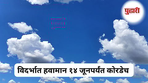 Vidarbha Weather News