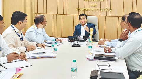 Fisheries port projects