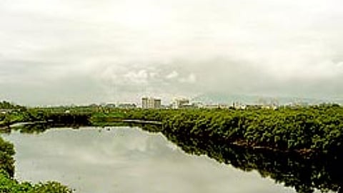 Mithi River Cleaning