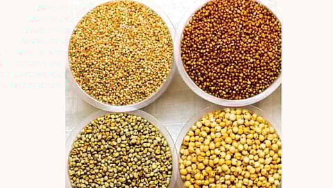 भरडधान्यांचे पचनशक्तीपासून हृदयापर्यंत अनेक फायदे!