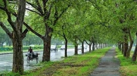 10 Crore Tree Campaign