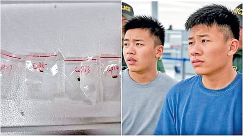 China Agro terrorism |