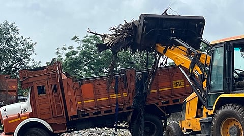 Dumping ground to garden project