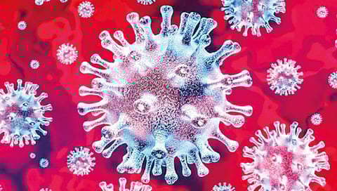 indian-researchers-successfully-isolate-coronavirus