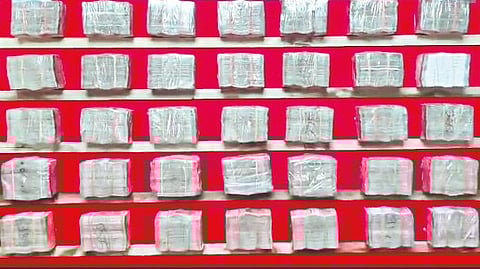 workers-actions-raise-questions-on-credibility