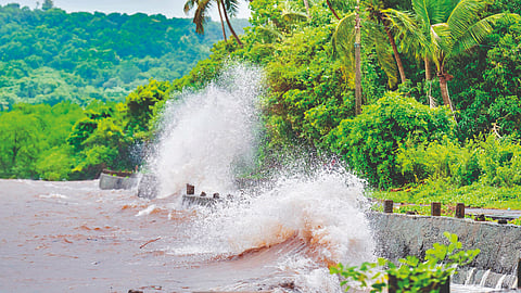 Sindhudurg sea water flooding