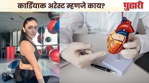 Cardiac Arrest : कार्डियाक अरेस्ट म्हणजे काय? शेफालीच्या मृत्यूलाही हेच कारण? जाणून घ्या लक्षणे आणि उपाय