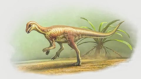 new jurassic era runner dinosaur discovered