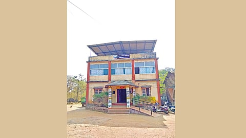 Devgad News Stray Cattle Action