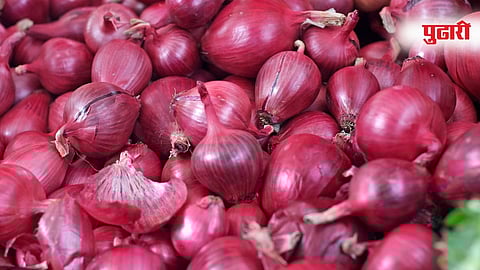 Nashik farmers onion Market