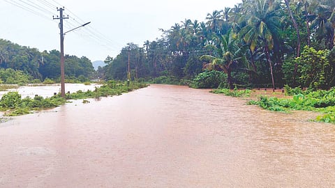 Goa Rain News |