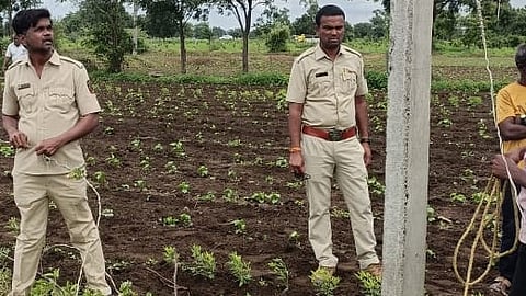 Electric Shock Incident |