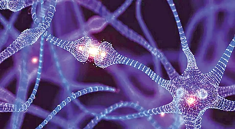 adult brain continues to generate new cells