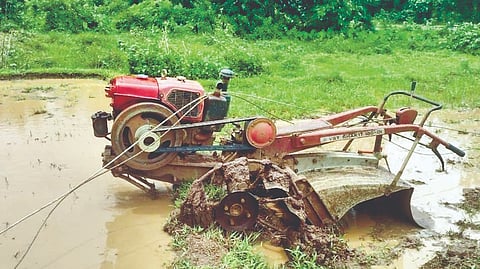 Farmer Escapes Electrocution