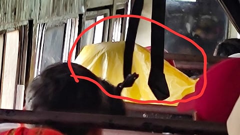 मोखाडा (ठाणे)