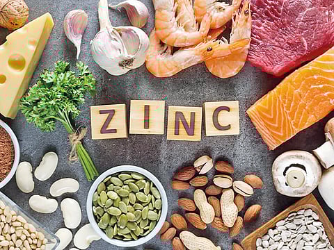 zinc the shield of immunity