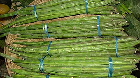 Vegetable Price Rise |