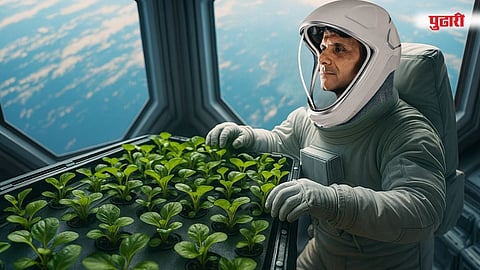 Shubhanshu Shukla space farming AI generated image