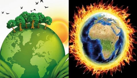 warning-global-warming-may-cut-120-calories-from-your-plate-ap84