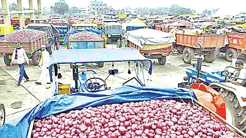 Onion Market