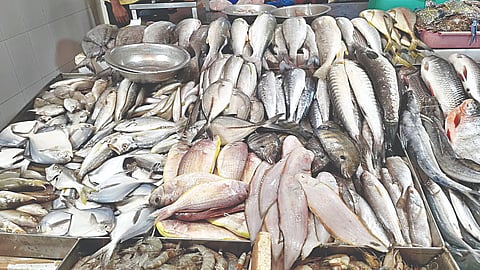 Illegal meat business